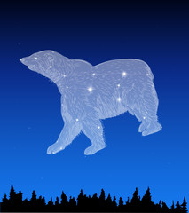 Night sky with Major Ursa constellation © inga