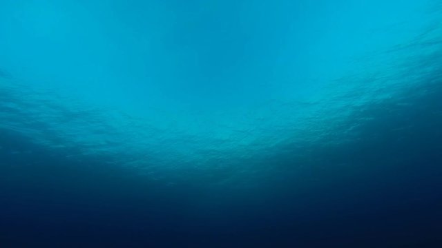 Video of the ocean surface from below showing the sunlight and water ripples through the clear water. This is a real video and not computer generated. Looped for unlimited duration.