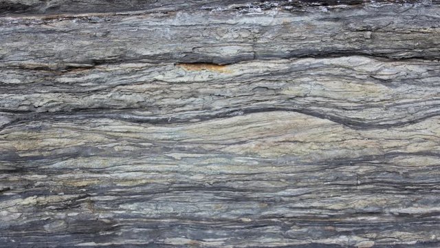 Geology - Sedimentary Structures Lenticular and flaser bedding.