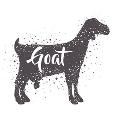 Goat icon. Animal life nature and fauna theme. Isolated design. Vector illustration