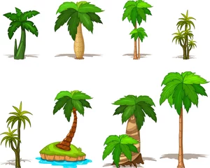 Photo sur Plexiglas Palmier collection de palmiers