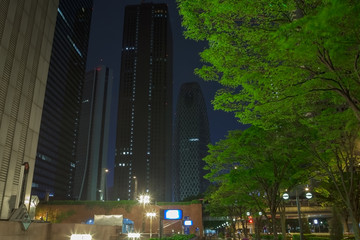 新宿高層ビル群　夜景