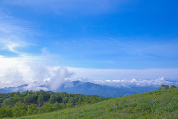 夏の高原