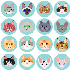 Obraz premium cat face set with circle