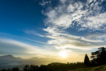 Obraz premium 湯布院の夜明 朝霧