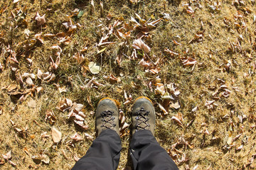 Top view of a hiking boot on the grass and autumn foliage