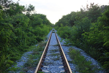 Fototapeta premium railway goes to horizon in green landscape