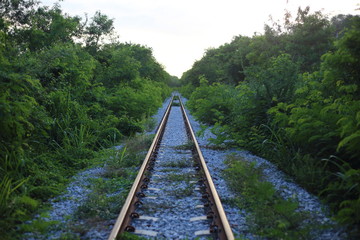 Fototapeta premium railway goes to horizon in green landscape