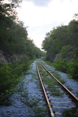 Obraz premium railway goes to horizon in green landscape