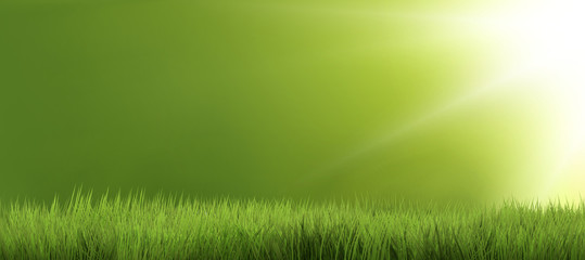 Obraz premium tło zielona trawa charakter trawa renderowania 3d