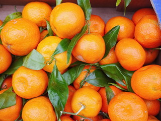 organic oranges with leaves
