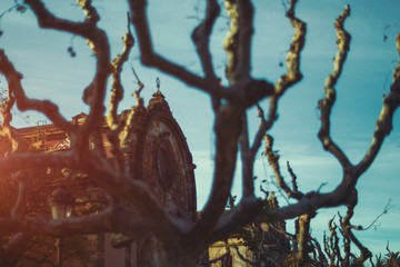 View through a graphically curved leafless trees on stone buildi