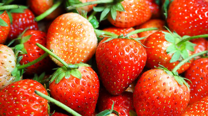 Top view background of freshly harvested strawberries. Strawberry background.