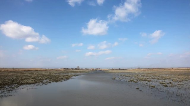 This video was supposed to show "King Pond", a huge marsh pool on Ecka, Zrenjanin, Serbia. It used to be full of fish, geese, herons and all kind of water bound birds.