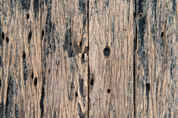 Beautiful antigue wood background, close up