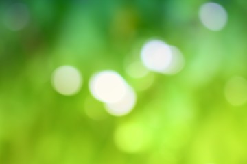 Obraz premium Bokeh natural color background. Color Warm Filter 