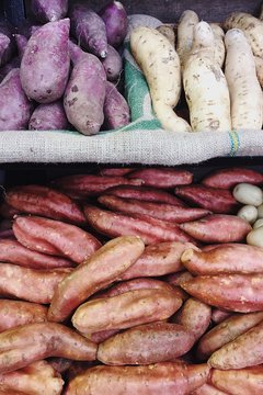 different varieties of sweet potatoes