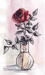 Rose in vase