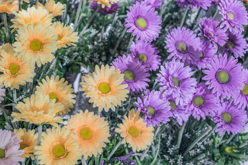 The background image of the colorful flowers 