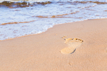 Shiny, perfect foots imprint in sand on the beach in summer in the morning. Focus point on the feet fingers.