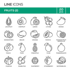 Set of fruit thin line icons in alphabetical order. Fruit symbols, labels, emblems. Vector illustration. Part 2.