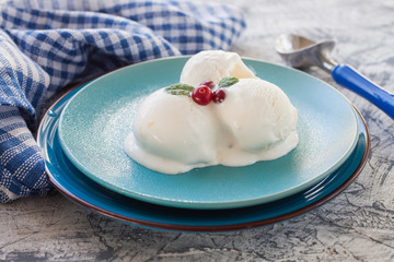 ice cream balls in a plate on a table, selective focus