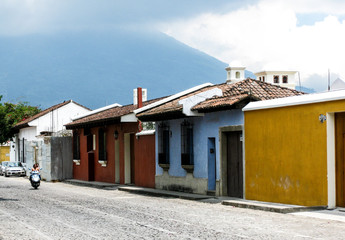 Houses Lining Street