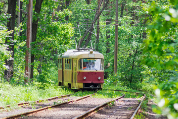 Obraz premium Stary tramwaj wśród lasu