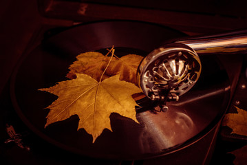 An old dusty gramophone playing a vinyl record at autumn time