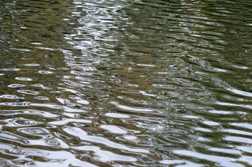 Water  abstract background