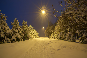Background with winter snow night walkway and lights