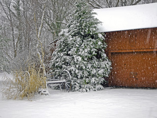 Snow Barn - 125183289