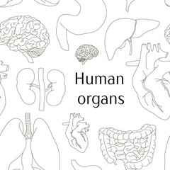 Different human organs set pattern