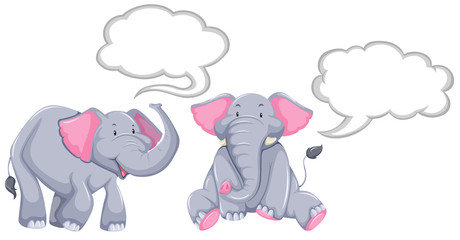 Elephants with blank speech bubbles