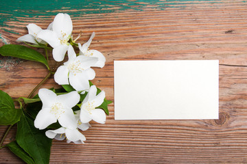 Jasmine flower and  paper card on retro wooden background