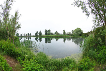 River landscape, closeup