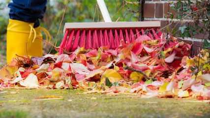 Leaves are swept together with a broom
 - obrazy, fototapety, plakaty
