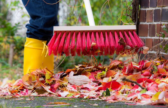 Leaves are swept together with a broom
