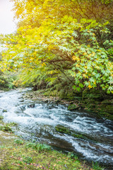 Stream Flowing Through Rocks in forest.