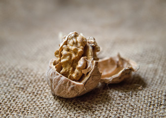 Fototapeta na wymiar walnut kernel