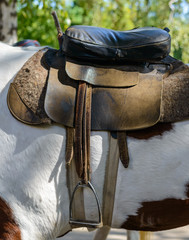 Saddle on a small piebald pony