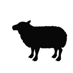 Lamb icon. Livestock animal life nature and fauna theme. Isolated design. Vector illustration