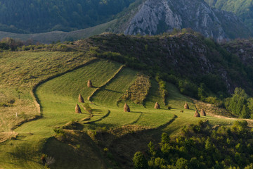 Amazing Romanian countryside with haystacks on pasture in the summer afternoon light