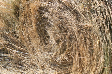 Spirale de foin
