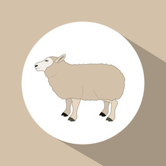 Lamb icon. Livestock animal life nature and fauna theme. Colorful design. Vector illustration
