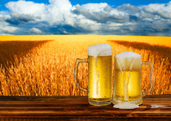 cold mug of beer in a landscape