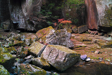 Autumn leaves in Akame Falls Nabari Mie Japan