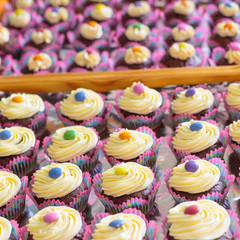 Bunte Cupcakes auf einem Tablett