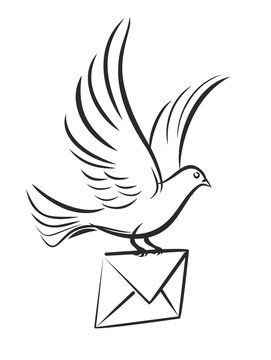 Pigeon postal letter.