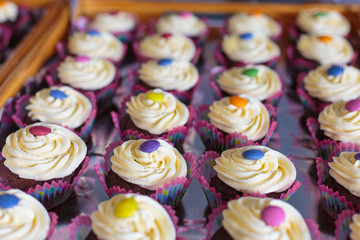 Bunte Cupcakes auf einem Tablett